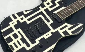 FERNANDES LIMITED EDITION TEJ