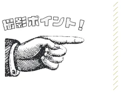 ポイントアイコン