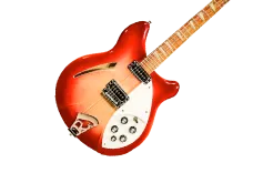 Rickenbacker360