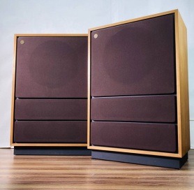 TANNOY Arden